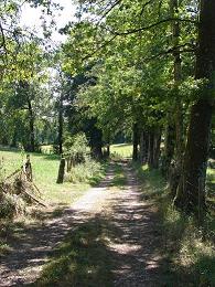 chemin de l'&eacute;tang
